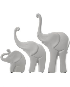 Famiglia di Elefanti