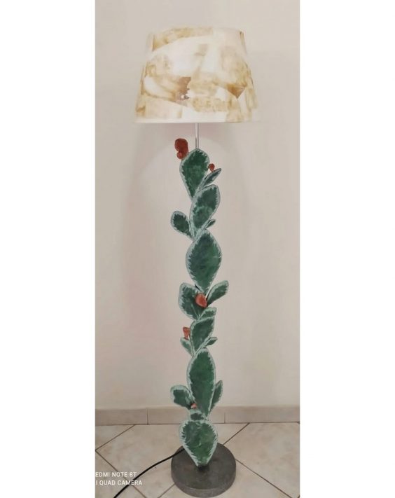 piantana cactus