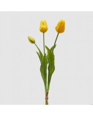 Tulipani Gialli