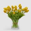 Tulipani Gialli