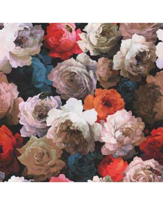 CuscRenoir40-000-2105