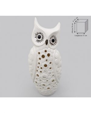 Gufo Luminoso