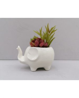 Elefante con Piantina