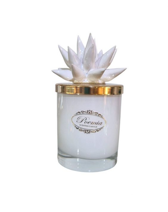 Riccio-Bianco-000-2200