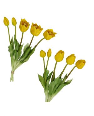 Tulipani Gialli