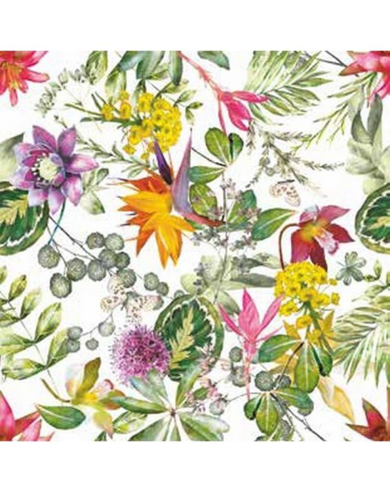 Cusc-Tropico50-000-2346