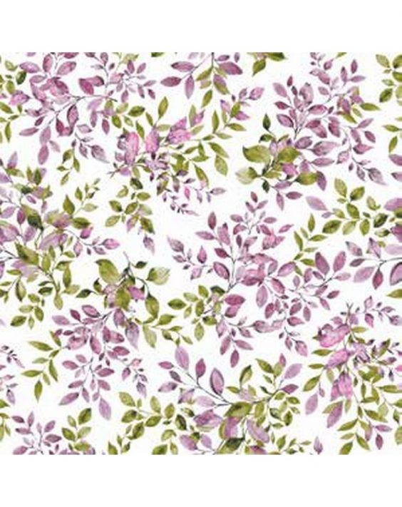 Cusc-Garden40-000-2366