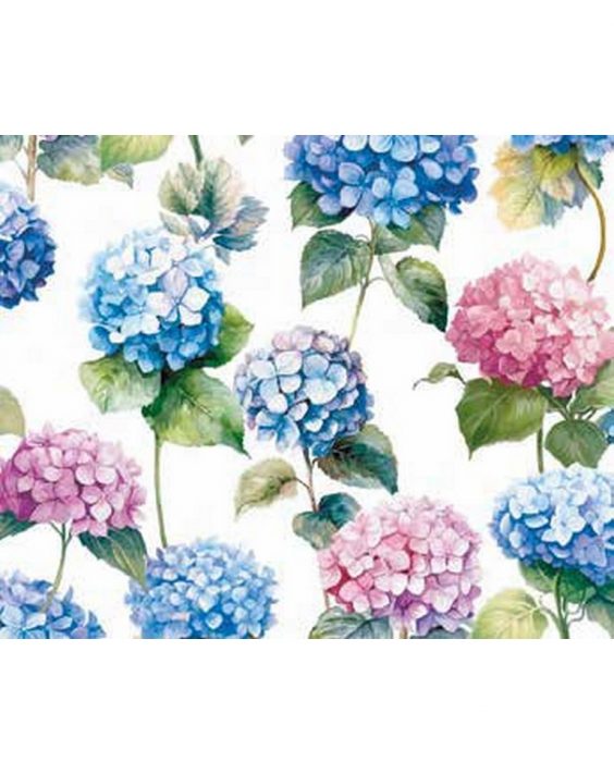 runner-Ortensia-000-2362