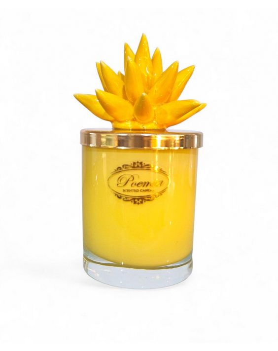 RiccioGiallo-000-2417