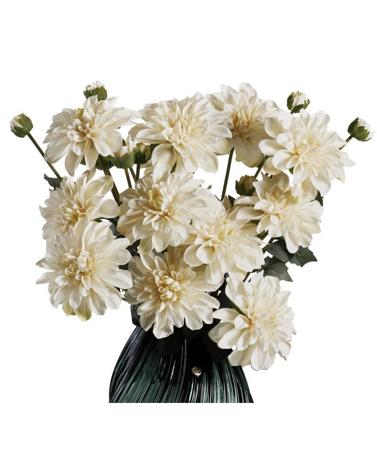 Fiori Dalie