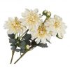 Fiori Dalie
